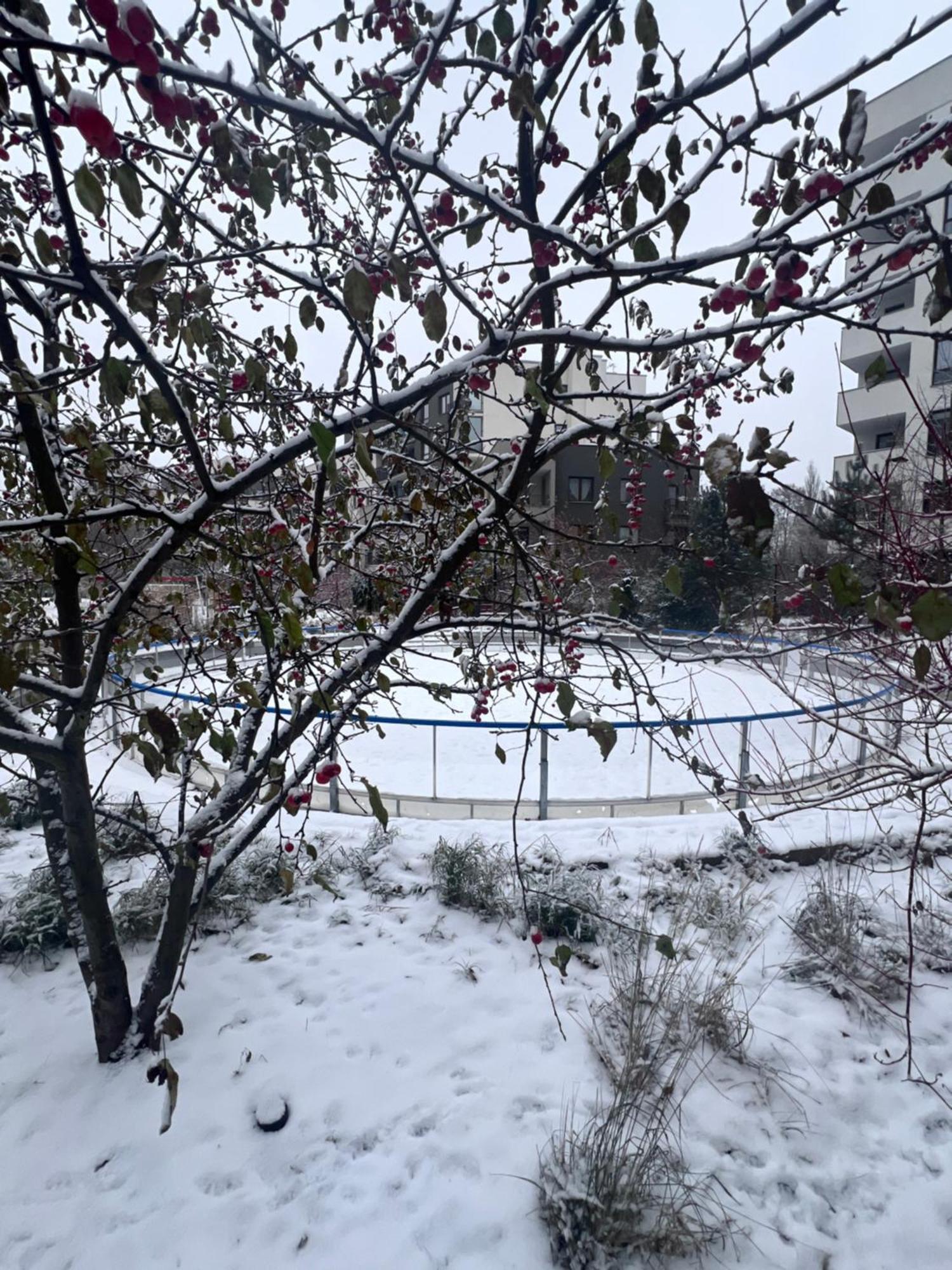 Appartamento Lake Park Apartament With Free Parking Airport Netflix Varsavia Esterno foto