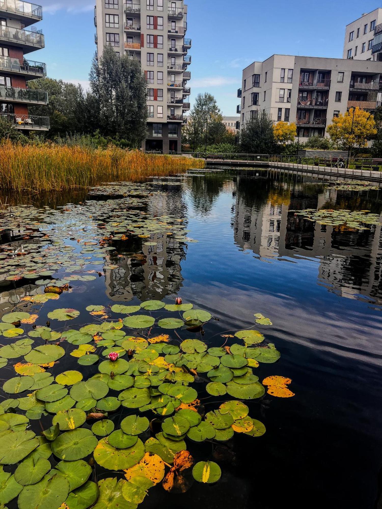Appartamento Lake Park Apartament With Free Parking Airport Netflix Varsavia Esterno foto
