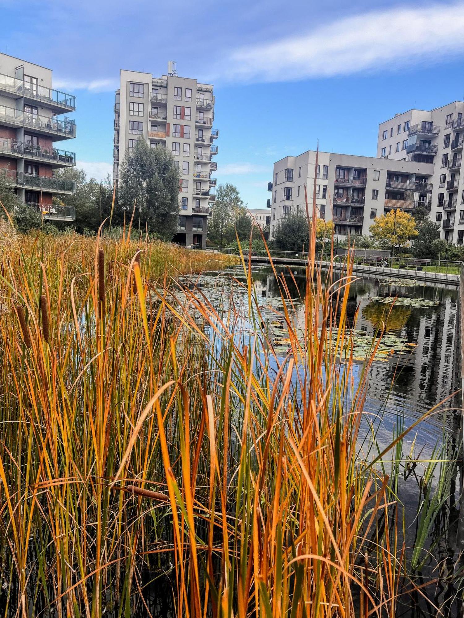 Appartamento Lake Park Apartament With Free Parking Airport Netflix Varsavia Esterno foto