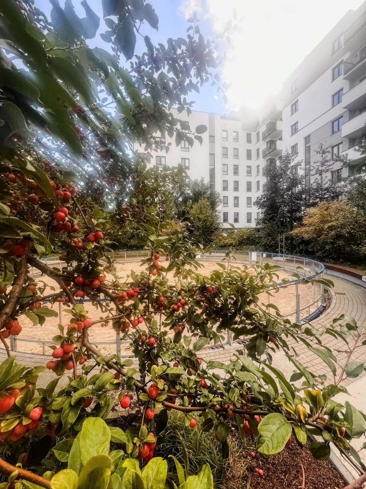 Appartamento Lake Park Apartament With Free Parking Airport Netflix Varsavia Esterno foto
